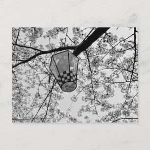 Carte Postale Fleur de cerisier japonaise et lanterne