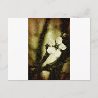 Carte Postale Fleur de cerisier sépia