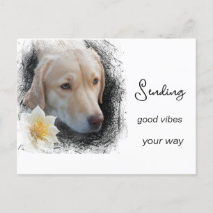 Carte Postale *~ Fleur de Chien Or Triste Vibes Bien AP61