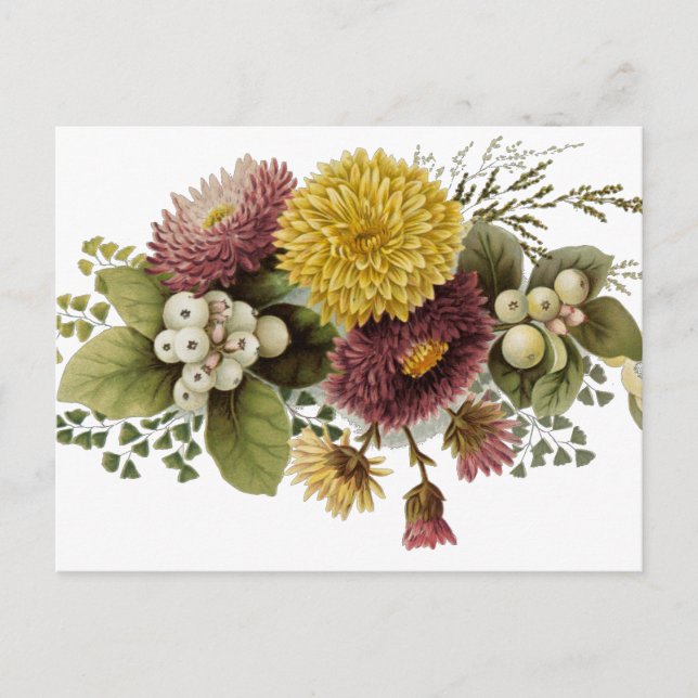 Carte Postale Fleur de chrysanthème mère florale (Devant)