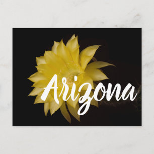 Carte Postale Fleur de citron à tarte, Arizona