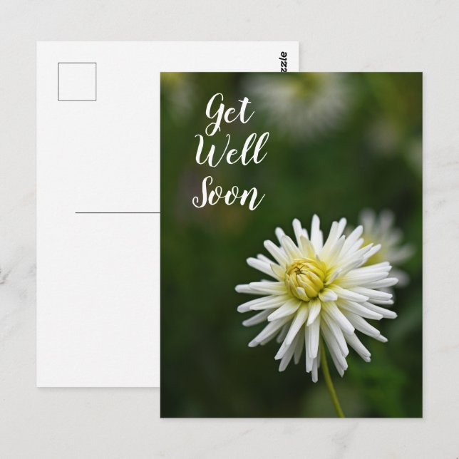 Carte Postale Fleur de Dahlia blanche Prompt rétablissement (Devant / Derrière)