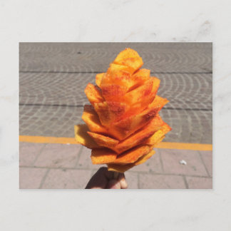 Carte Postale Fleur de fruits