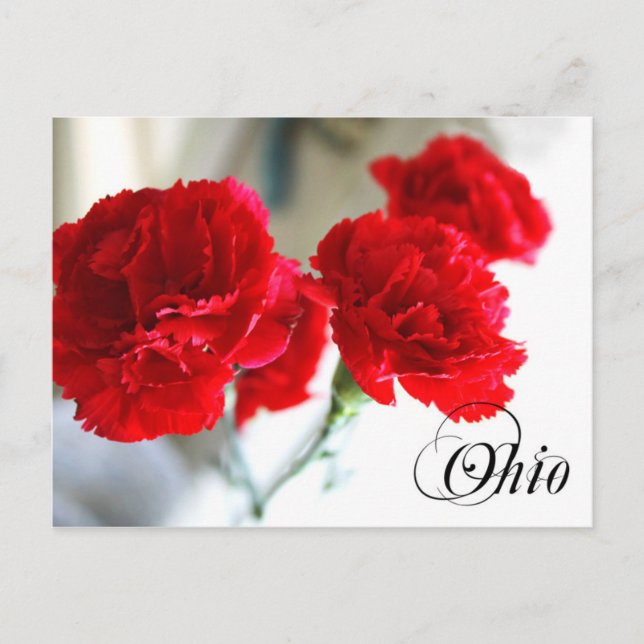 Carte Postale Fleur de l'État de l'Ohio : Carnation rouge (Devant)