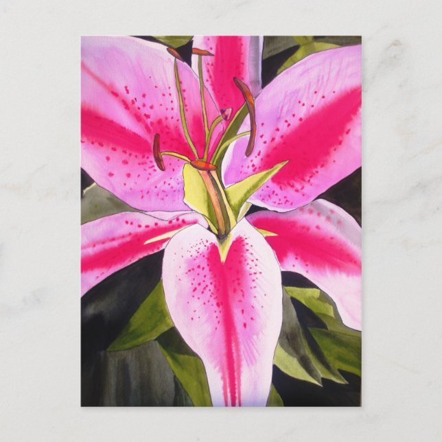 Carte Postale Fleur de lièvre rose chaud aquarelle pop art fleur (Devant)