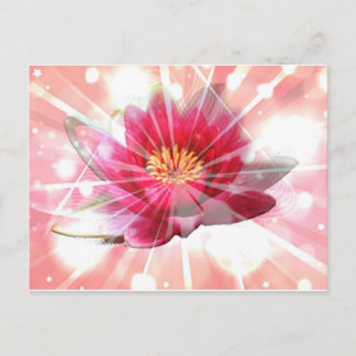 Carte Postale fleur de lotus rose