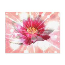 fleur de lotus rose