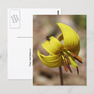 Carte Postale Fleur de Lys Sauvage Personnalisée et Amie