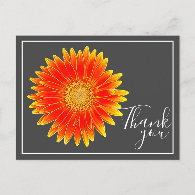 Carte Postale Fleur de marguerite orange avec fond gris Merci (Devant)