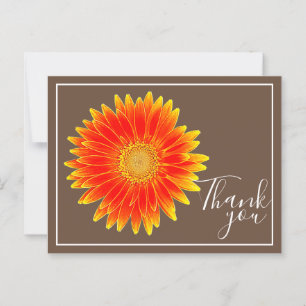 Carte Postale Fleur de marguerite orange avec fond marron Merci