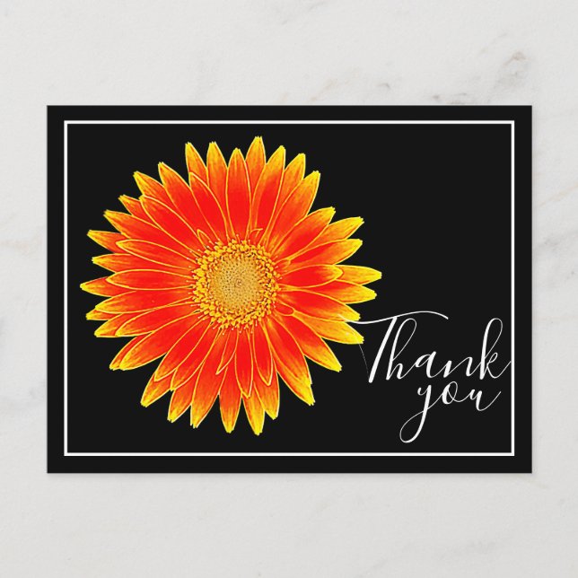 Carte Postale Fleur de marguerite orange Fond noir Merci (Devant)