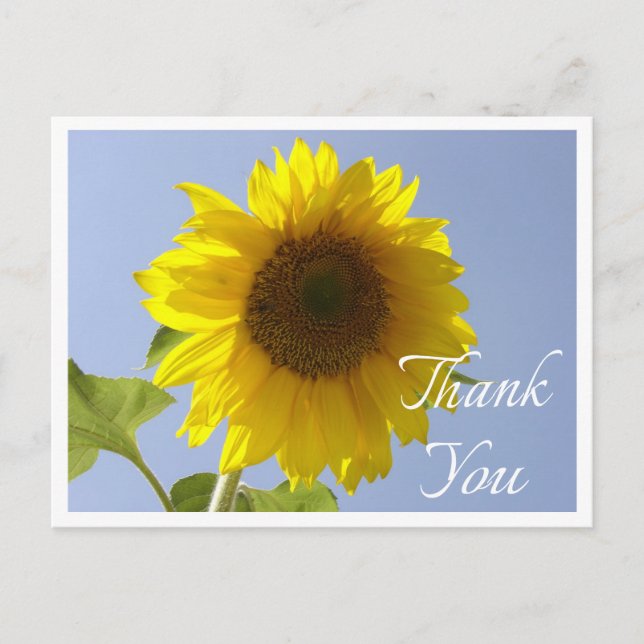 Carte Postale Fleur de Merci de tournesol jaune Floral (Devant)