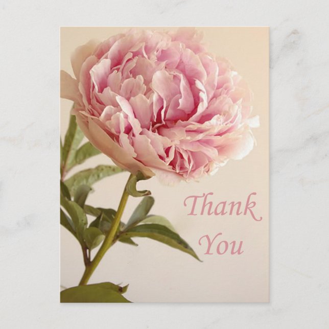 Carte Postale Fleur de pivoine rose Merci floral (Devant)