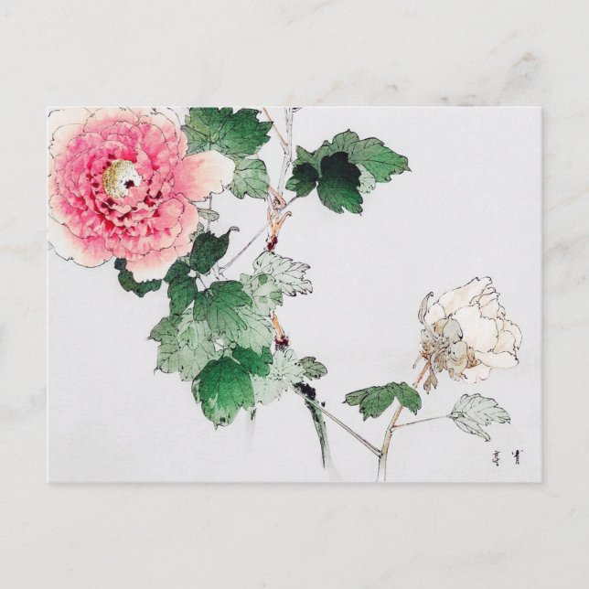 Carte Postale Fleur de pivoine, Watanabe Seitei (Devant)