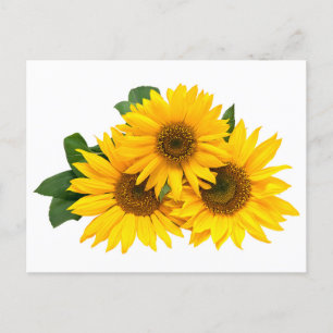 Carte Postale Fleur de tournesol jaune floral - Merci, Amour
