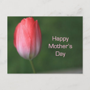 Carte Postale fleur de tulipe rouge, jour de mère heureuse