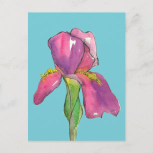 Carte Postale Fleur d'Iris rose Turquoise
