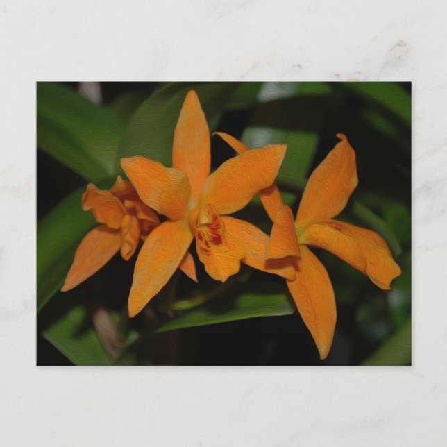 Carte Postale Fleur d'orchidée de cattleya orange tropicale (Devant)