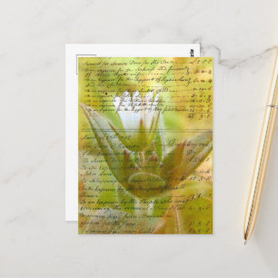 Carte Postale Fleur et script Vintage