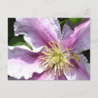 Fleur exotique avec abeille