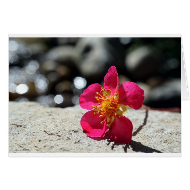 Carte postale Fleur fraise (Devant horizontal)