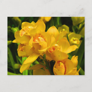 Carte Postale Fleur Jaune