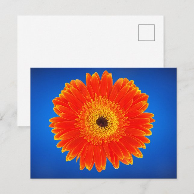 Carte Postale Fleur jaune (Devant / Derrière)
