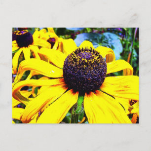 Carte Postale Fleur Jaune Lumineuse : Funchal, Portugal