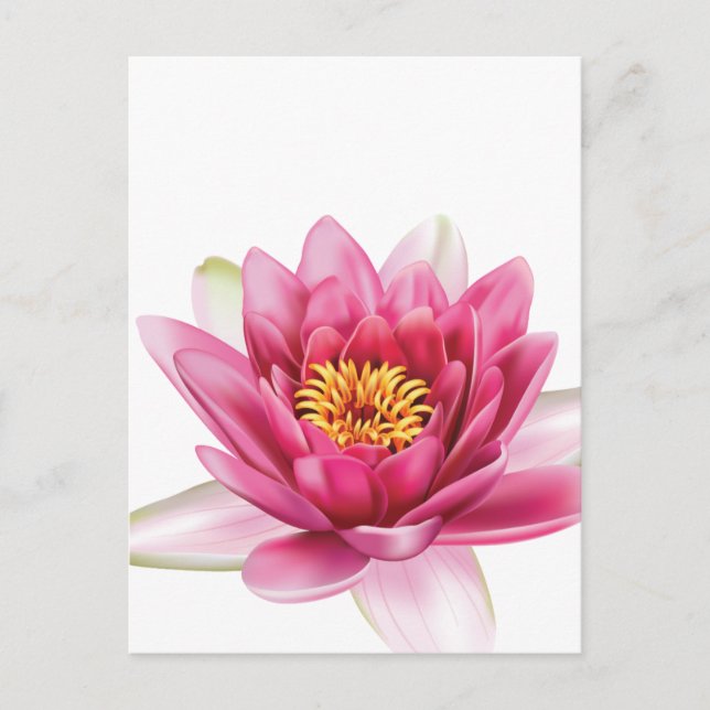 Carte Postale Fleur Lotus (Devant)