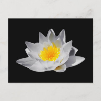 Carte Postale Fleur Lotus (Arrière - plan noir)