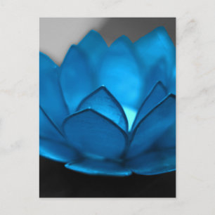 Carte Postale Fleur Lotus bleue