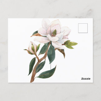 Carte Postale fleur magnolia aquarelle