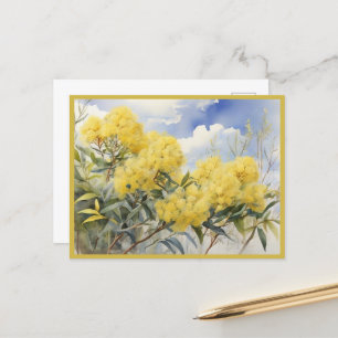 Carte Postale Fleur nationale Australie Golden Wattle  