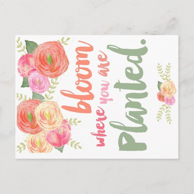 Carte Postale Fleur où vous êtes planté (Devant)