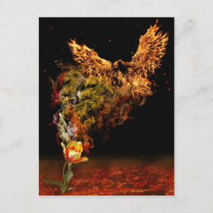 Carte Postale Fleur Phoenix