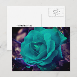 Carte Postale Fleur Rose Aqua personnalisée