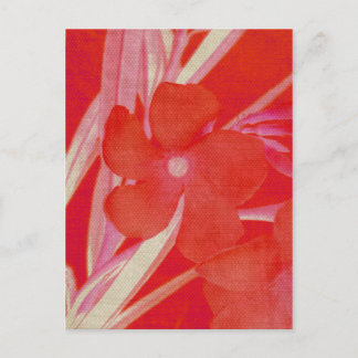 Carte postale Fleur rouge