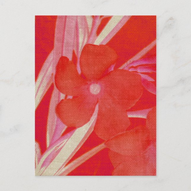 Carte postale Fleur rouge (Devant)