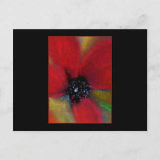 Carte Postale Fleur Rouge, Pavot.