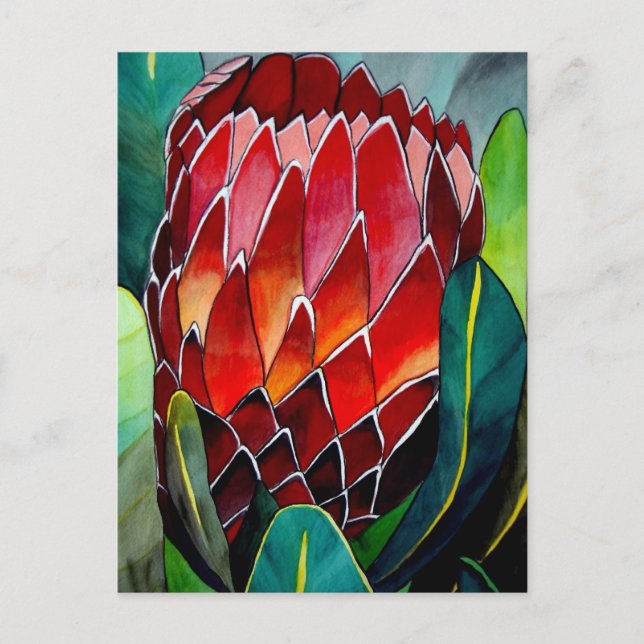 Carte Postale Fleur rouge Protea art original aquarelle (Devant)