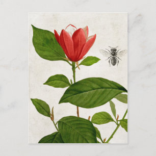 Carte Postale Fleur rouge vintage et abeille