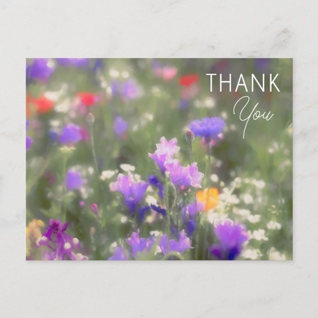 Carte Postale Fleur sauvage (Devant)