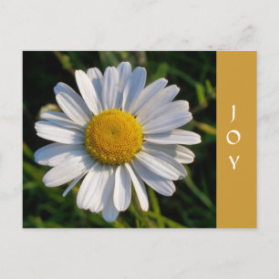 CARTE POSTALE FLEUR SAUVAGE