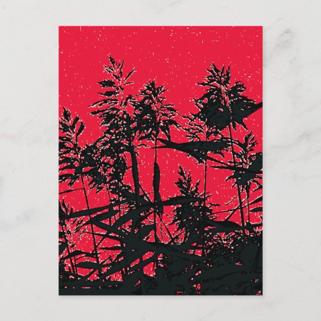 CARTE POSTALE FLEUR SAUVAGE (Devant)