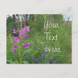 Carte Postale Fleur sauvage de Fireweed de l'Alaska