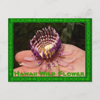 Carte Postale Fleur sauvage d'Hawaii
