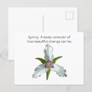 Carte postale Fleur sauvage Trillium Spring Peint