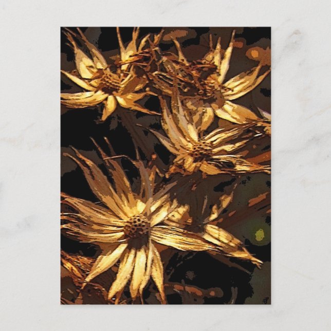 Carte Postale Fleur sèche Abstraite (Devant)