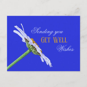 Carte Postale Fleur simple marguerite sur toile