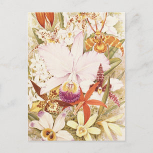 Carte Postale Fleur vintage Orchidée fleurit Joli design floral